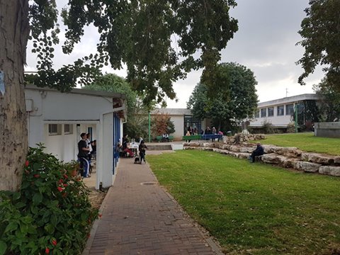 Image may contain: plant, tree, sky, house, grass, outdoor and nature